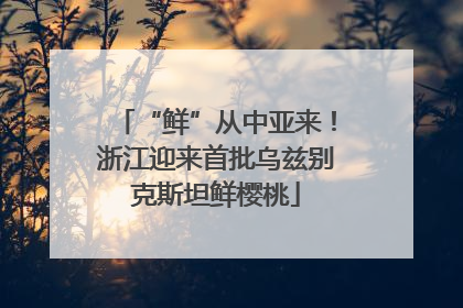 “鲜”从中亚来！浙江迎来首批乌兹别克斯坦鲜樱桃